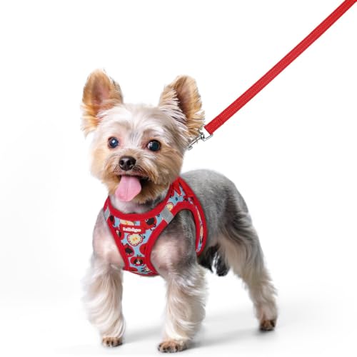 Image of rabbitgoo Dog Harness Small Sized and Leash Set, Step-in Puppy Pet Vest