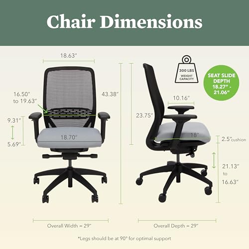 Image of HON Nucleus Office Chair Ergonomic Desk Chair Suspended Seat Mesh Back for Home Office, Task Work - Synchro-Tilt Recline, Swivel Wheels, Adjustable Lumbar Support & Armrests, Black Frame, Gray