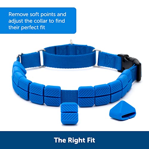 PetSafe Soft Point No-Pull Dog Training Collar, Royal Blue, 3/4 in, Medium - image 4