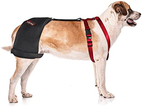 RISURRY/LISPOO Dog Hip Support Brace Support Hip Dysplasi