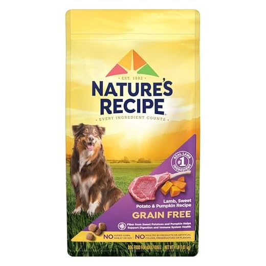 Nature's Recipe Grain Free Dry Dog Food, Lamb, Sweet Potato & Pumpkin Recipe, 4 lb. Bag