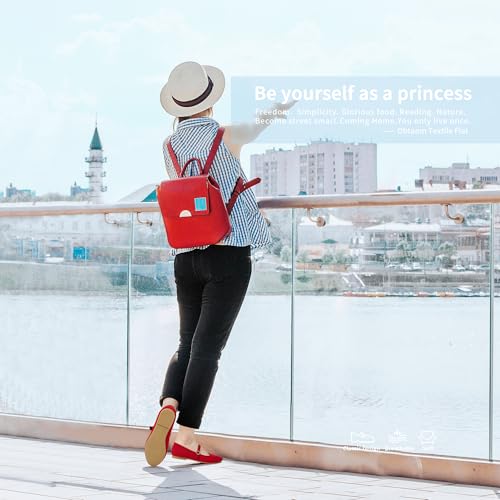 Image of Obtaom Mary Jane Flat Shoes Round Toe Ballet Flats for Women Dressy Fabric Business Flats Comfortable Classic Strap Flats for Office