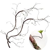 Artificial Tree Branches Jungle Rattan Foam Long Vines with Flowers and Leaves Fake Trunk Liana Twigs for Home Wedding Garden Wall Hanging Climber Habitat Decor 78 inches (Pattern A - 2pcs)