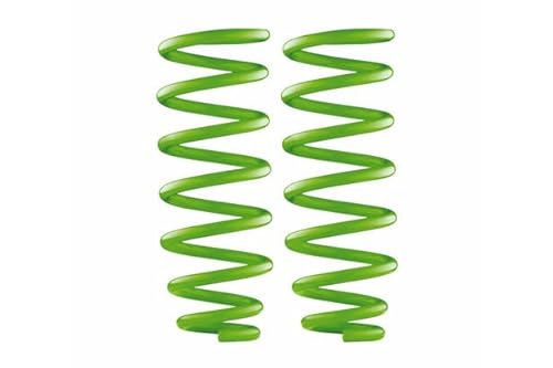 Prado 120 Series Rear Performance Coil Springs Lwb