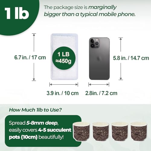 Image of T4U Tumbled Chips Stones Crushed Crystal Quartz 1 LB, Irregular Shaped Gravels Pebbles Healing Stones, DIY Smoothed Rocks for Potted Plant,Resin Art,Vase Fillers Aquarium Gravel Rocks (Clear)