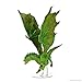 WizKids D&D Icons of The Realms: Adult Green Dragon Premium Figure