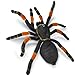 Safari Ltd. Orange-Kneed Tarantula Figurine - Realistic 8