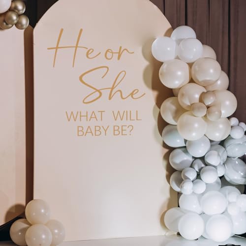 Reviews de Bebe Sheer Top 10. 30 Imagen adicional