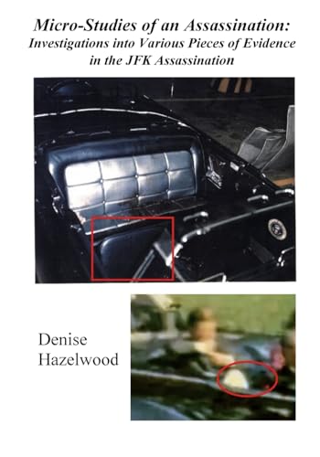 Micro-Studies of an Assassination: Investigations into Various Pieces of Evidence in the JFK Assassination