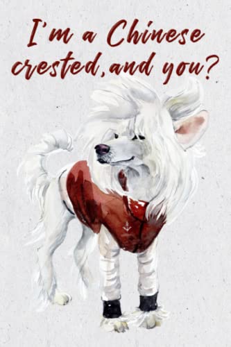 I'm a Chinese Crested, and you?
