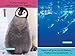 Polar Babies (National Geographic Kids Explore! Readers, Pre-Reader)
