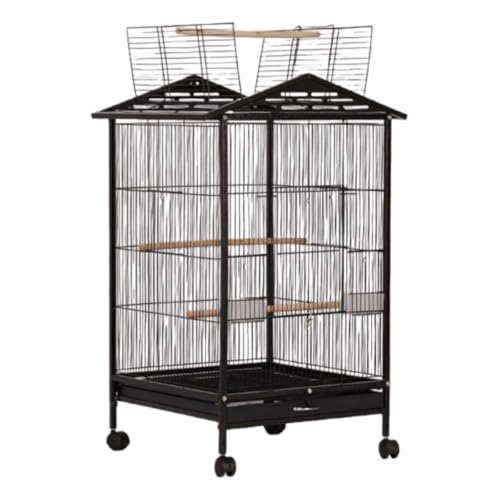 MAKETOMONEY P[W  o[hQ[W ^   LX^[t IJ CR  IE 傫 og[t ȒP uo[htB`CRIJCRp (ubN,B08)