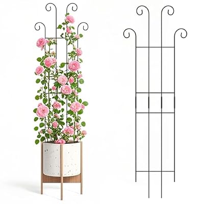 2 Set 32'' Taller Plant Trellis for Climbing Plants Indoors & Outdoor, Garden Metal Trellis Plant Support for Potted Plants, Houseplants, Flowers Vine, Ivy, Pothos, Monstera
