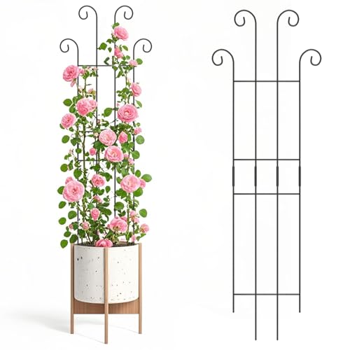 2 Set 32'' Taller Plant Trellis for Climbing Plants Indoors