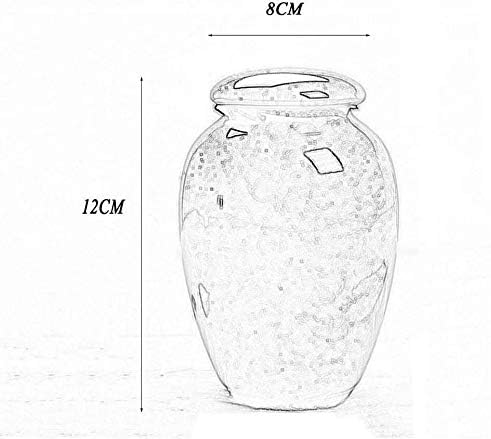 装飾骨壺 ミニ葬儀骨壺シーリングメモリアル少量の人間の遺灰 人間とペットの骨壷 永遠の愛と伴い