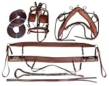 Leather Horse Driving Harness Set – Complete Buggy Harness in Black or Tan – Pony Size – Includes Bridle, Breastplate, Breeching, Reins & Traces (Bit Not Included) (Dark Tan)