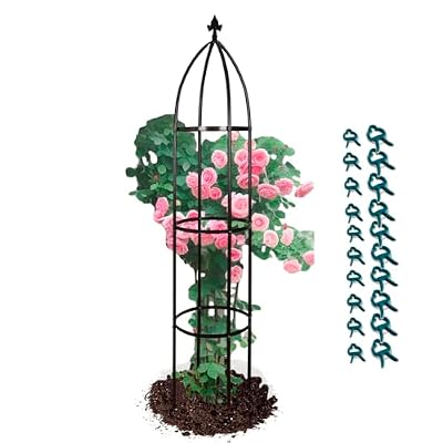 Garden Obelisk Trellis for Climbing Plants Outdoor 6.3 Feet Tall Rose Heavy Duty Metal Trellis Plant Support for Vines Clematis Flowers, Bronze