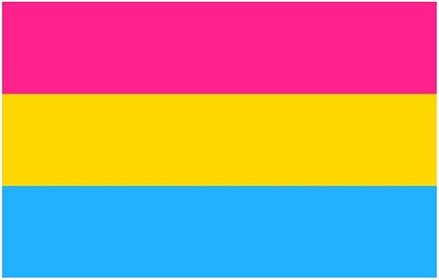 Pansexual gay pride 5ft x 3ft Flag