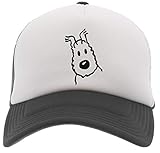 Schnelle Lieferung Delavi Schneebedeckt Baseball Trucker Kappe Schwarz Black Cap