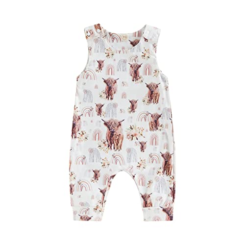 Karuedoo Western Baby Boy Girl Clothes Cow Print Sleeveless Romper Jumpsuit One Piece Bodysuit Outfit Boho Summer Clothes (C Rainbow, 6-12 Months) #TOP5