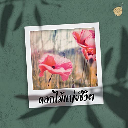 『ดอกไม้แห่งชีวิต』のカバーアート