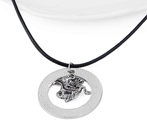 2 Pair / One Set Silver Plated and Stainless steel The Last Olympian Camp Pegasus Zeus Engraved Half Blood Percy Jackson Pendant Necklace
