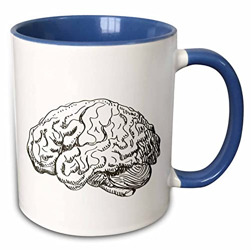 3dRose 15oz Coffee Mug Two Tone Blue, Brain Ceramic Mug - Unique Brain Themed Gifts for Science Lovers - Coffee Mug for Home, Office, or Classroom - Ideal for Students, Teachers, or Professional