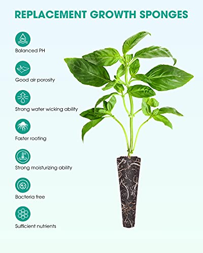 16 Pack Grow Sponges, Seed Pod Kit Root Growth Sponges Replacement Seed Pods Compatible with AeroGarden Hydroponics Sponges Seed Starter Sponges Refill Pods for Hydroponic Growing System Indoor Garden - Image 3