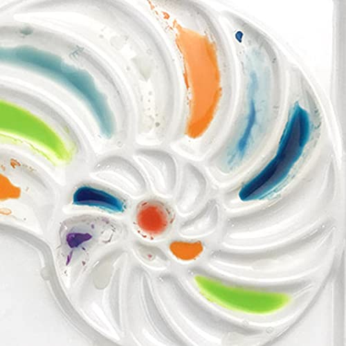 Palette aquarelle de céramique conque avec compartiments de mélange