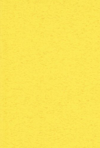エスケント 色画用紙 ミューズコットン 厚口 A5 きいろ 100枚 41150118