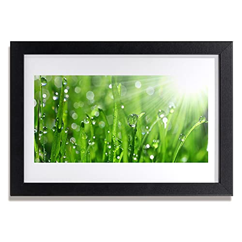 Affiche encadrée 30x20 cm pour habiller un mur vide et créer une décoration nature