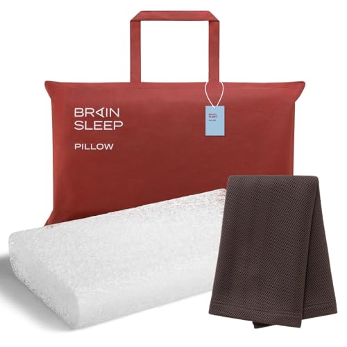 BRAIN SLEEP PILLOW STANDARD 収納バッグ付き 41xPUriZKiL.jpg