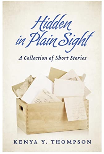 Hidden in Plain Sight view 2