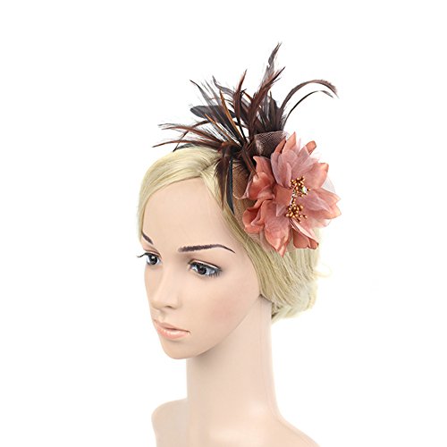 Fascinators Hat for Women Tea Party Headband Kentucky Derby Wedding Flower Mesh Feathers Hair Clip 20s Flapper Headpiece (A2-Brown)