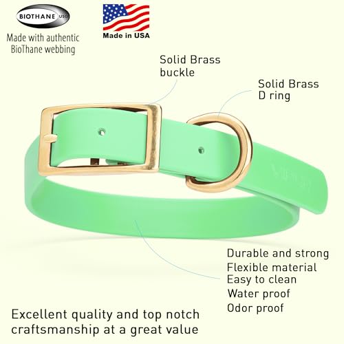 Image of Viper Biothane Heavy Duty Waterproof Dog Collar Strong Coated Nylon Webbing w /Solid Brass Hardware Odor-Proof for Easy Care to Clean High Performance Fits Small Medium or Large Dogs, Sea Foam Green