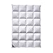 Produktbild Billerbeck Daunendecke Nena 306 Kassette II warm, Füllung: 100% Gänsedaunen 160x210 cm