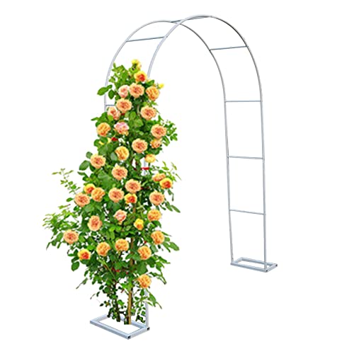 Treillis métallique de jardin pour plantes grimpantes et arche de support robuste