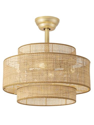 Jughtbo Boho Fandelier Ceiling Fan with Light Rattan Chandelier Fan Remote Gold Caged Ceiling Fan with Light for Bedroom Living Room Nursery Foyer Kitchen6 Speed Timing Adjustable Height