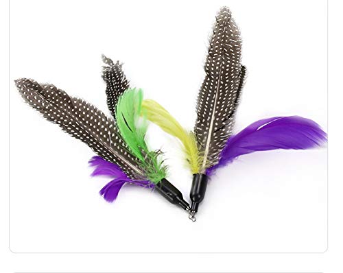 Juguete de plumas de gato, la principal pluma de juguetes para gatos, plumas naturales, cinco recambios de plumas de repuesto.