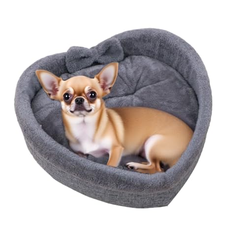 Panier pour chat forme cœur lit d'intérieur de qualité supérieure pour appartement