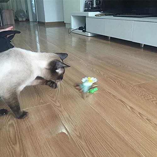 LOPADE Giochi per Gatti Giocattolo per Gatti