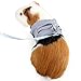 Chewtoyo Breathable Soft Harness Leash for Small Animals - Adjustable and Lightweight Hamster Harness
