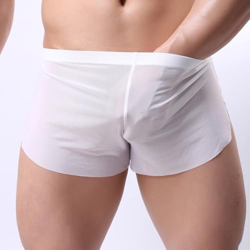 Mesh Boxer Briefs for Men See Through Underwear Split Side Shorts Sexy Boxers Underpants2