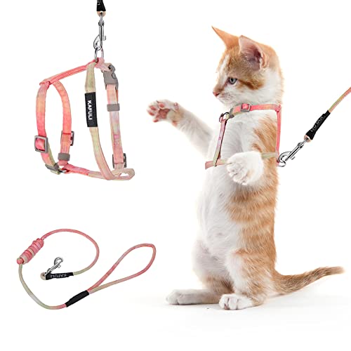 TIESOME Cat Harness and Leash Set, Adjustable Gradient Kitten Harness Escape Proof Harness with Leash for Kitty Outdoor Walking (Orange)