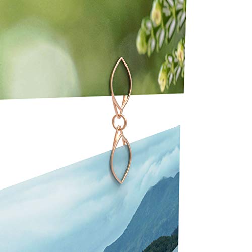 Three By Three Seattle Hitched Photo Clips, Copper (41134) #TOP1