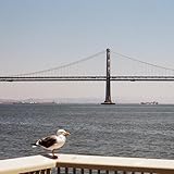 Bay Bridge