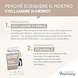 Zoom IMG-2 collagene e vitamina c cartilagini