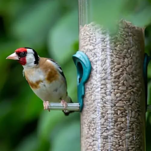 Leagrams Premium Sunflower Hearts (Sunflower Kernels) For Wild Birds – No Mess, High Oil, Bakery Grade High-Energy Feed (5Kg) Bag - 2