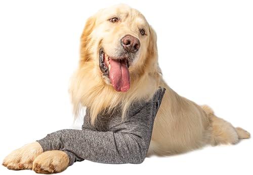 Protetor Membros Anteriores para Cães Macho e Fêmea - Tam 5 - Pet Designer