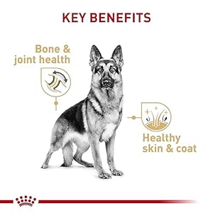 Royal canin breed well being diet german shepherd grownup loaf in sauce canned canine meals 13 5 oz can case of 12   cucciolini doodles